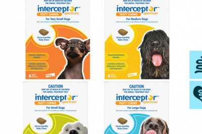 INTERCEPTOR Spectrum 6 Doses for Worms Control in Dogs