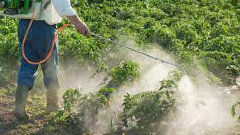 Pesticide Inert Ingredients Market Size, Share, Regional Overview and Global Forecast to 2028