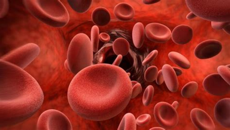 Sickle Cell Anemia Market Analysis & Trends Report 2028 - Value Market Research