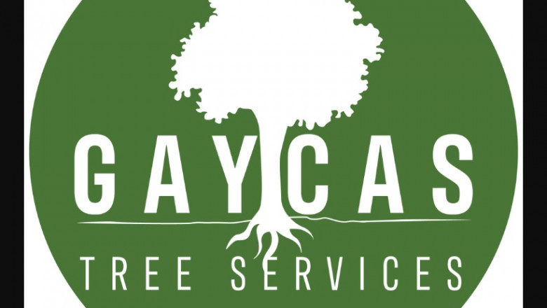 Why Hire A Tree Removal Service?