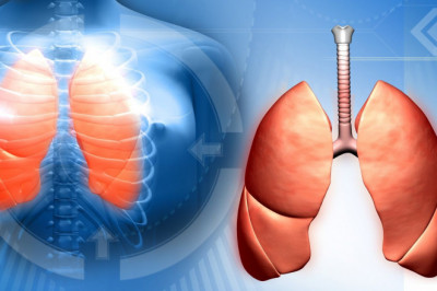 Bacterium  - Unani Medicine Cause For Tuberculosis Infection?