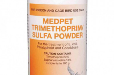 Buy Trimethoprim Sulfa Powder For Pigeon & Caged Birds
