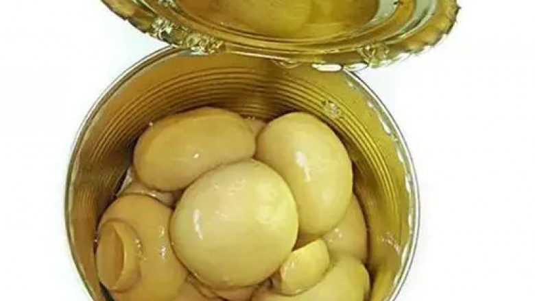 Caned Mushroom Market : Things to Focus on to Ensure Long-term Success up to 2031
