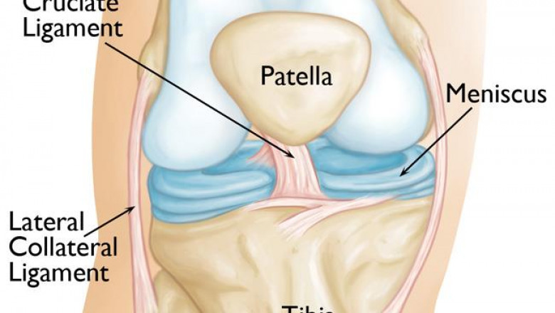 Knee Cartilage Repair Market 2022 Major Key Players and Industry Analysis Till 2028