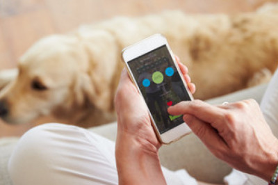 Manage Your Dog Walking or Dog Sitting Business with Pet Sitting Software