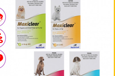 Moxiclear Flea Heartworm Worms Control for Dogs 3 Doses