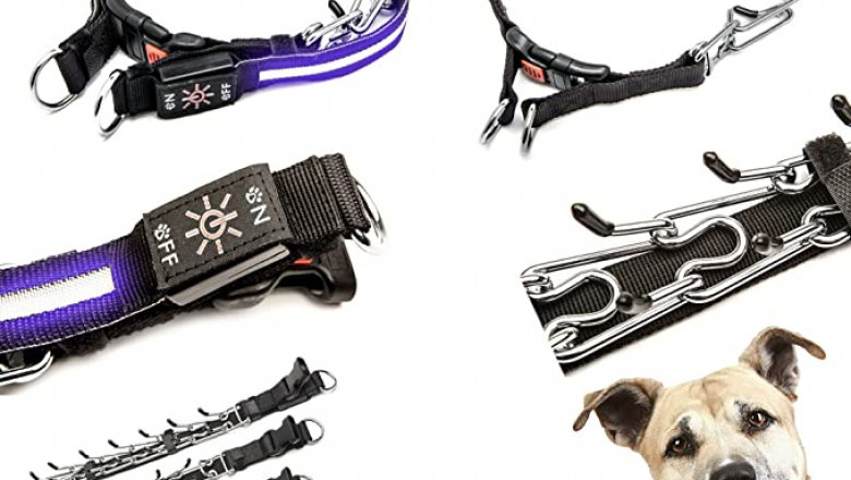 Nala’s World Dog Prong Training Collar