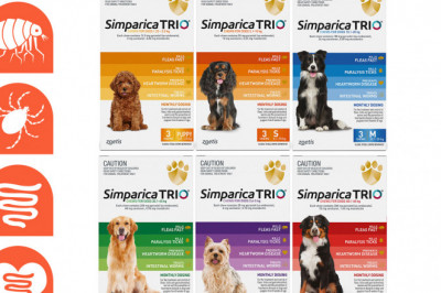Simparica Trio- Protect your Dog with all your heart