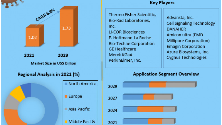 Western Blotting Market Industry Key Players with Growth Status And Forecast 2029
