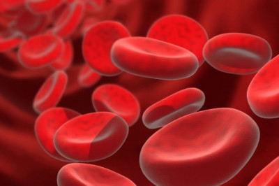 Blood Conversation System Market Insights 2022, Global Analysis and Forecast to 2030