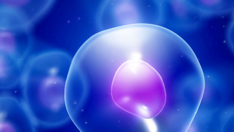 Global Autologous Stem Cell and Non-Stem Cell Based Therapies Market Analysis
