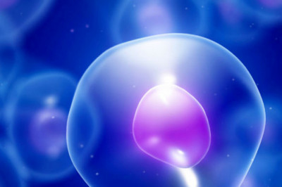 Global Autologous Stem Cell and Non-Stem Cell Based Therapies Market Analysis