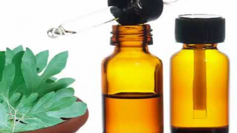Sassafras Oil Market Insights 2022, Global Analysis and Forecast to 2030
