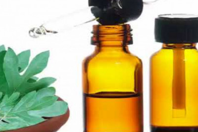 Sassafras Oil Market Insights 2022, Global Analysis and Forecast to 2030