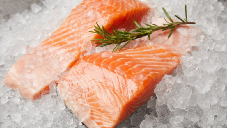 The Frozen Fish Blog: The Most Comprehensive Guide to Keeping Frozen Fish