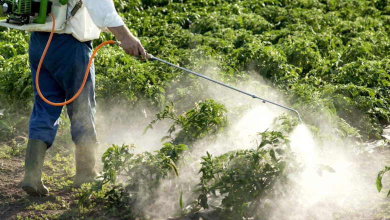 The Sale of Coils Of Home Insecticides Market Is A Major Factor Driving The Market