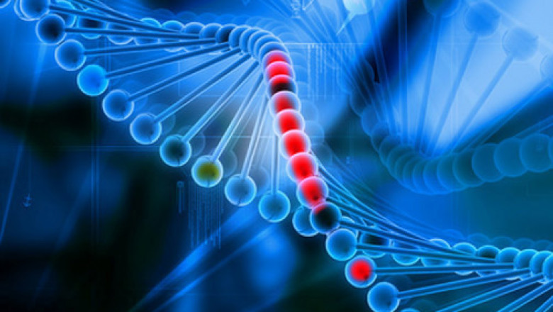 Transfection Technologies Market - Forecast 2022-2027