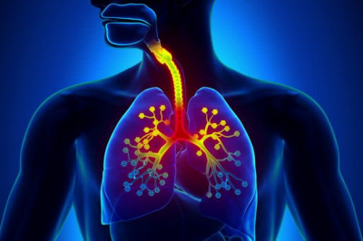 Weakened Respiratory Systems- Unani Medicine For Protect The Lungs?