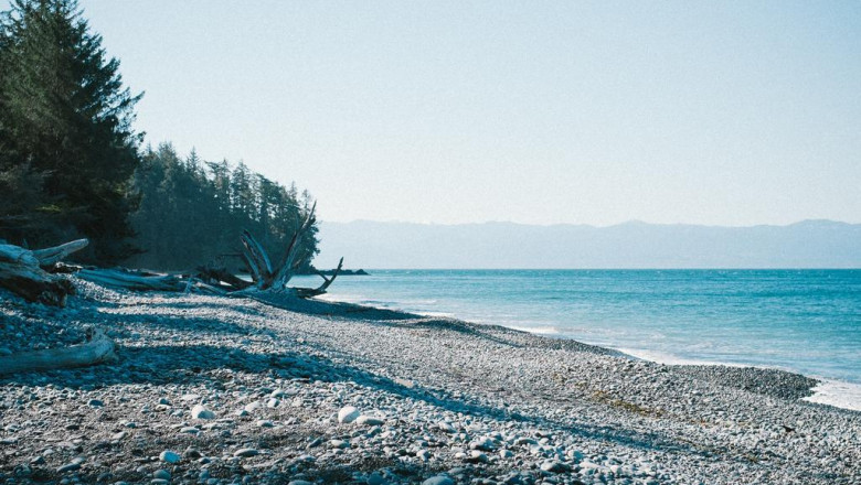 why the biggest myths about web desgin may actually be right