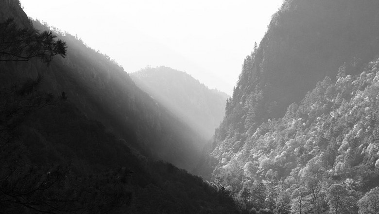 blueair 402 will clean the air with its advanced technology and filters