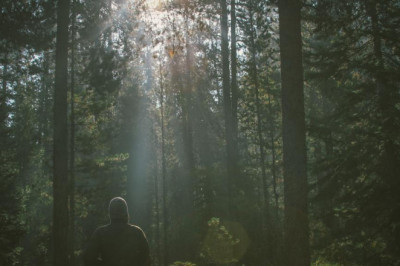 brand monitoring tools