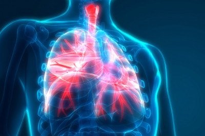 Chest Infection Medicine - Herbal Medicine For Chest?