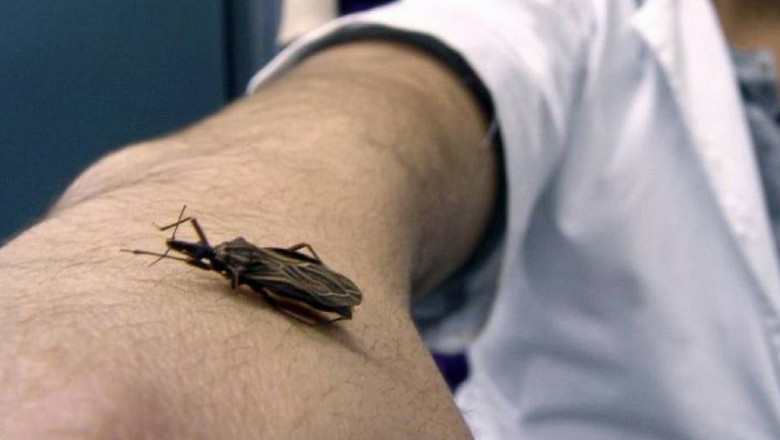 Global Chagas Disease Treatment Market Analysis