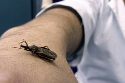Global Chagas Disease Treatment Market Analysis