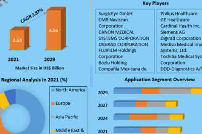 Global Nuclear Medicine Equipment Market Market Challenges, Future Growth And Forecast 2029
