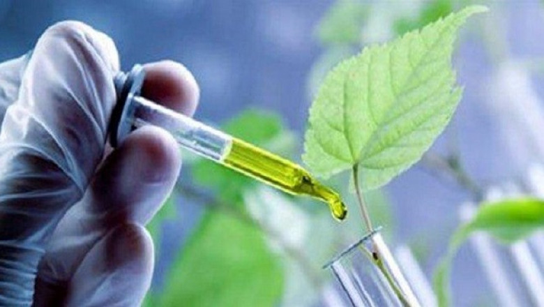 Green Bio Polyols Market Trends, Research and Analysis 2022-2030