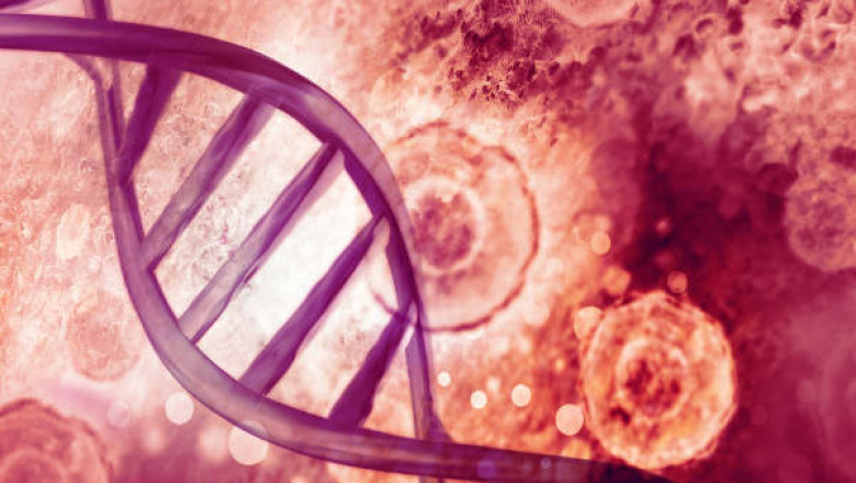 Lysosomal Storage Disease Treatment Market Insights on Current Scope 2030