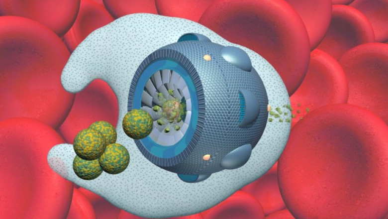 Nanomedicines Market Growth Insights and Value Analysis during Forecast Period 2020-2027