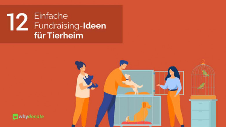 12 einfache Fundraising-Ideen für Tierheime