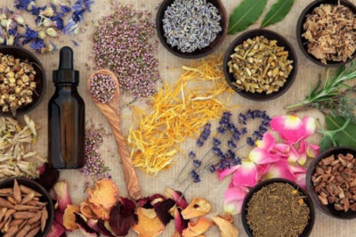 Ayurveda kidney treatment