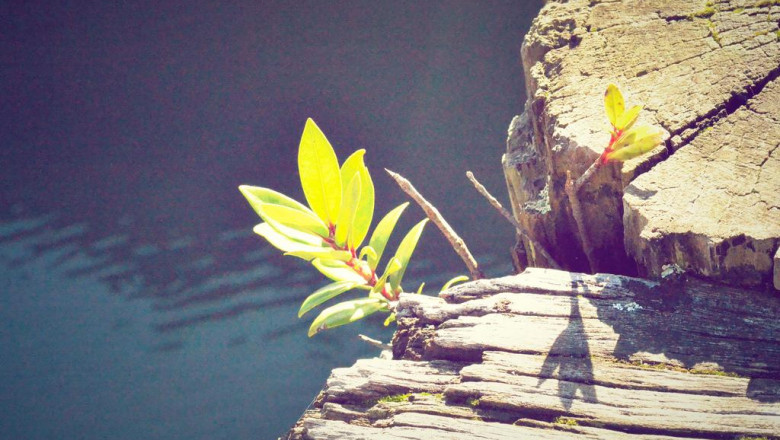 reminders for running a good business