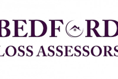 The Insurance Assessor