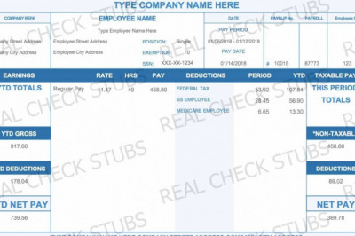 Picking the best Paystub Template For the Payroll