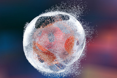 Cell Lysis Is a Technique Used in Laboratories to Break Open Cells and Purify or Examine Their Contents