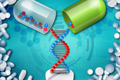 Covalent bonds connect amino acids to form bioactive peptide