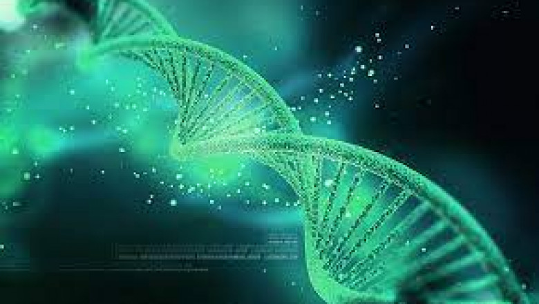Genomics Market to Bring Revolution in the Industry During 2020-25