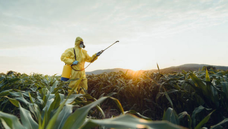 How to Control pests in your home
