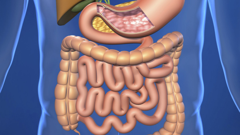 Malabsorption Syndrome Market 2022 to 2030 - by Service Model, Enterprise Size