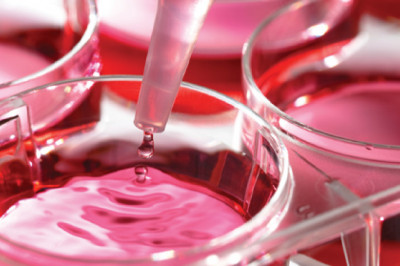 Media Sera and Reagents Market Global Industry Trends, Share, Size, Growth, Opportunity, Forecast