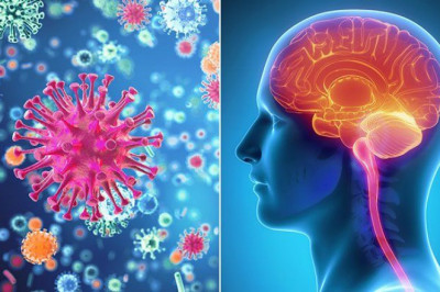 Meningitis Diagnosis and Treatment Market Outlook, Growth Rate by Manufacturers