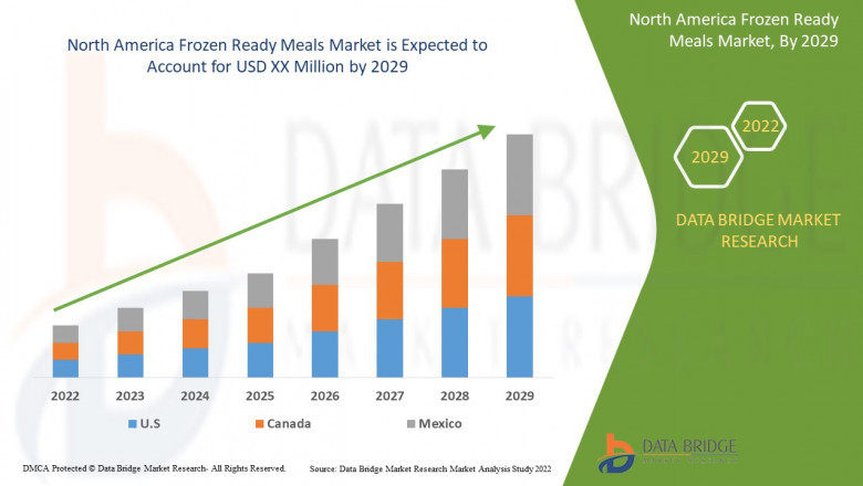 North America Frozen Ready Meals Market Precise, Powerful, & Measurable