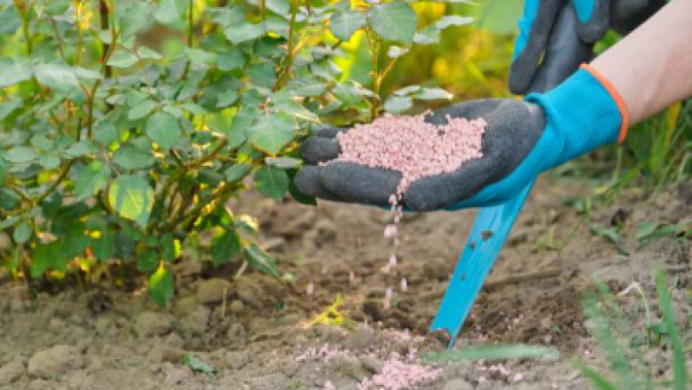 Phosphate Fertilizers Market In-depth Analysis of Share, Size and Future Opportunity till End of 2028