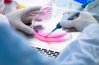 Types of Autologous Stem Cell and Non-Stem Cell Based Therapies