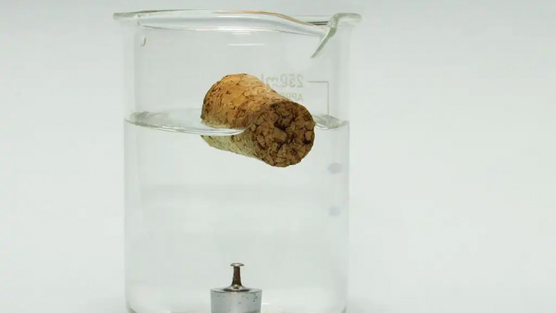 What Is the Density of Water?