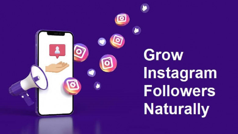 5 Secret Ways to Naturally Increase Instagram Followers
