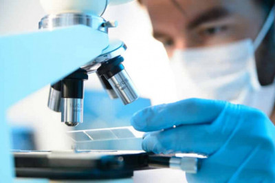 A High Prevalence of Infectious Diseases and Cancer Drives the Growth of the Life Science Microscopy Devices Market